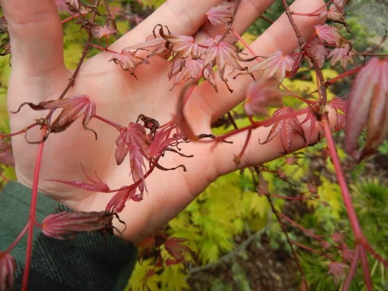 Use Gradual Inspection