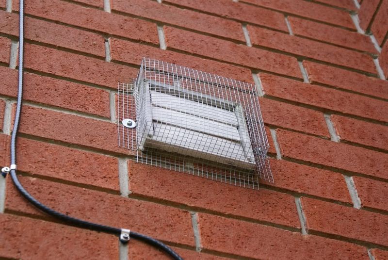 Discourage Future Nesting Humanely