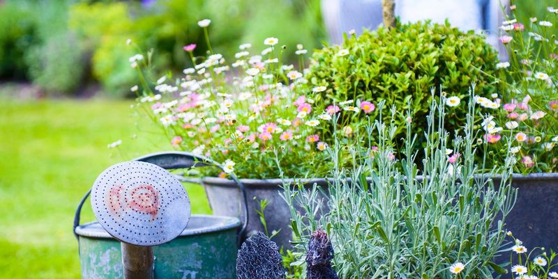Wildflower Meadow Spill