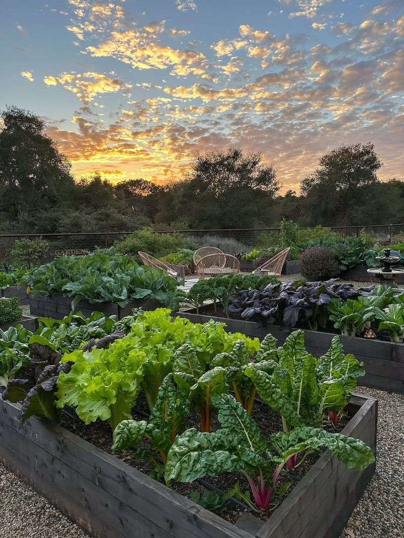 Fall Planting Windows That Stretch The Harvest