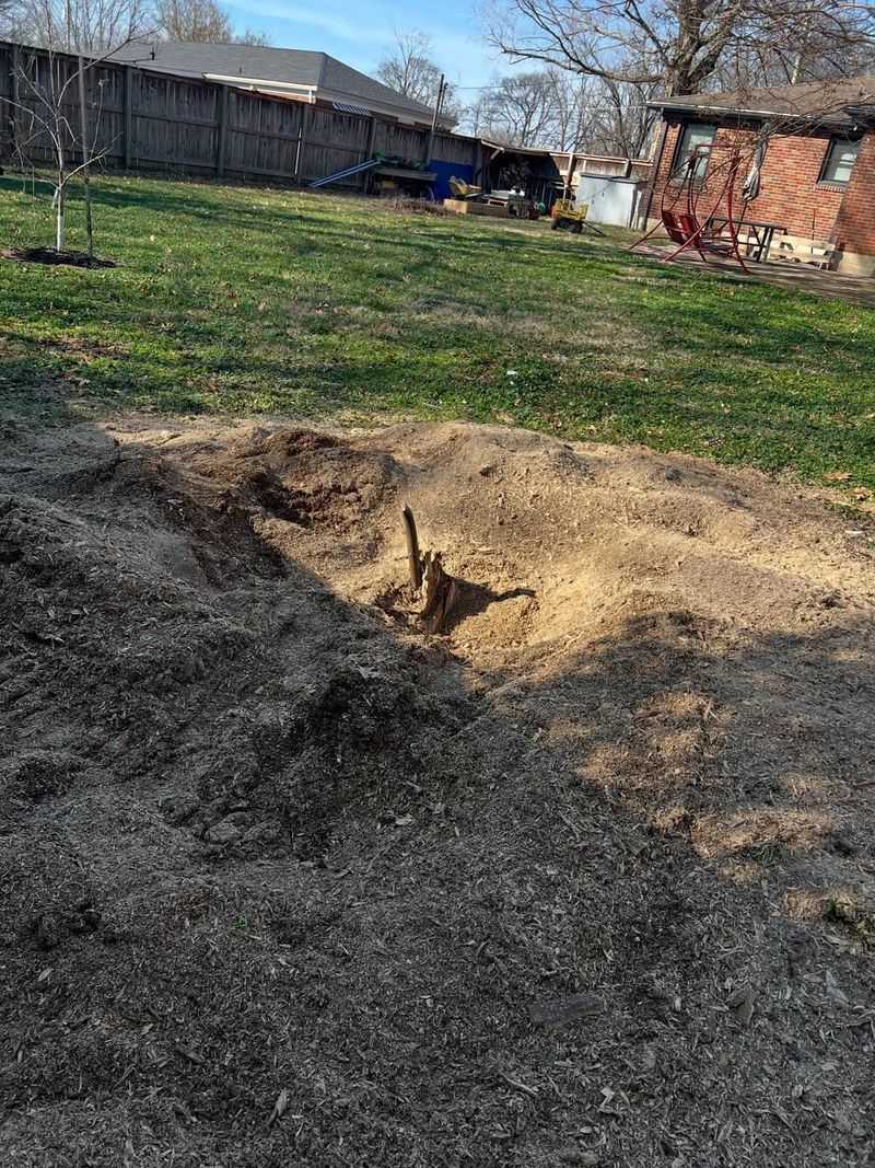 Impact On Surrounding Landscape