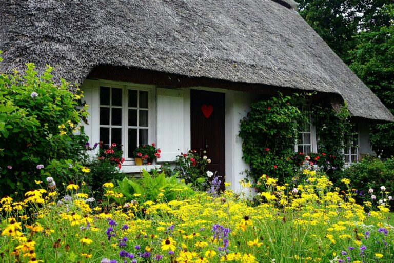 cottage garden flowers