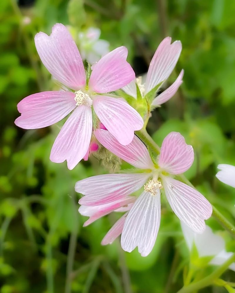 Small Plantings, Big Impact