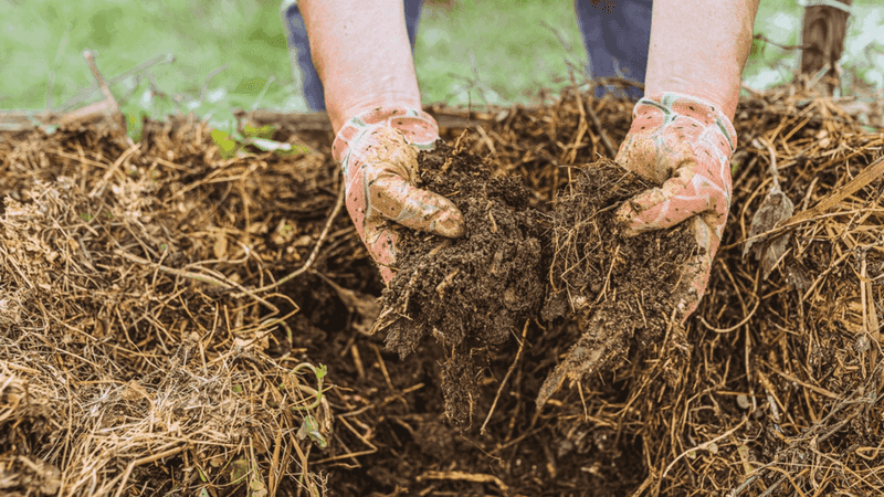 Improve Soil With Compost And Amendments