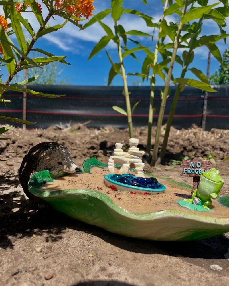 Add A Shallow Puddling Spot For Minerals And Moisture