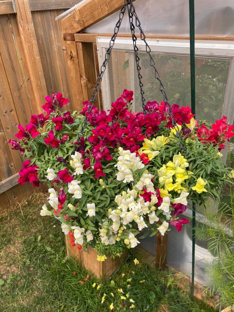Use Elevated or Hard-to-Reach Containers