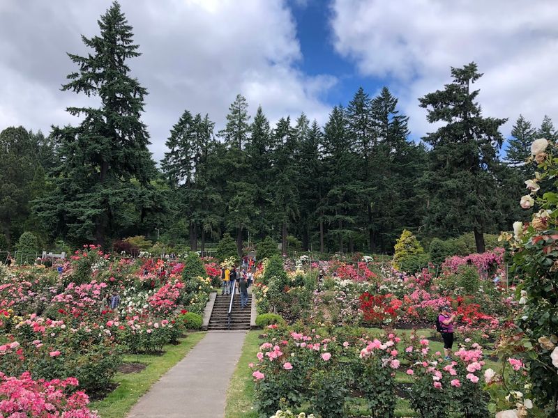 International Rose Test Garden