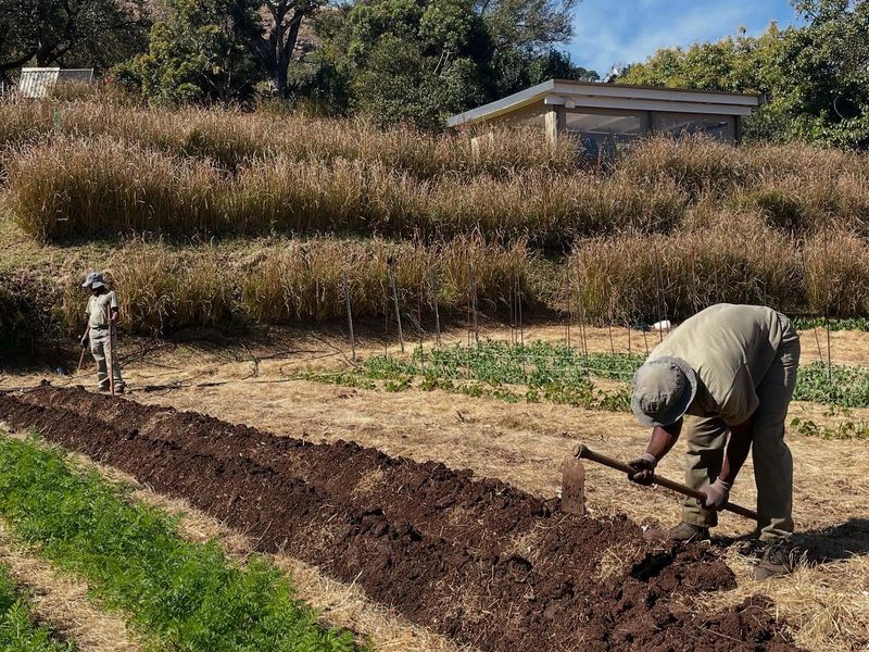 Plant At The Correct Depth For Strong Root Development
