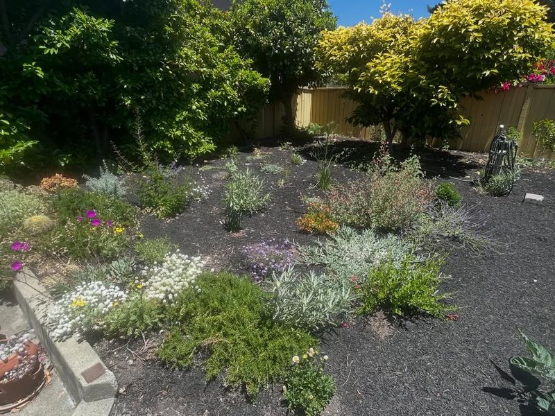 Saves Money Over Time