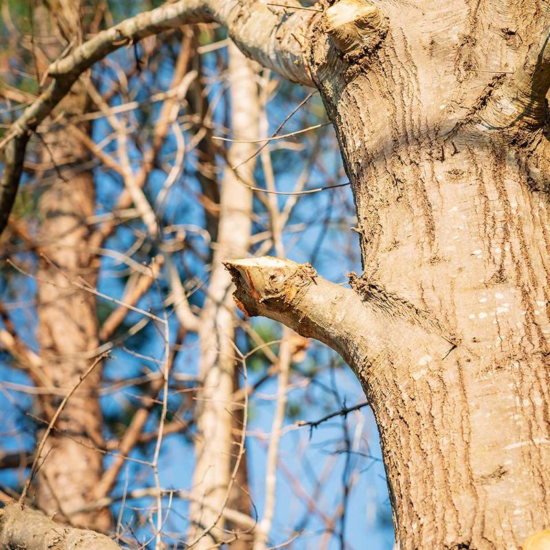 Removing Too Much At Once