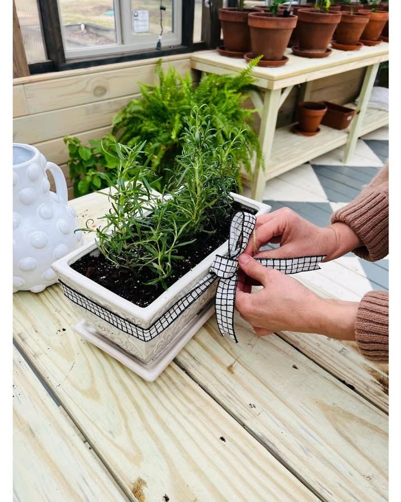 Mini Herb Garden Gift Box