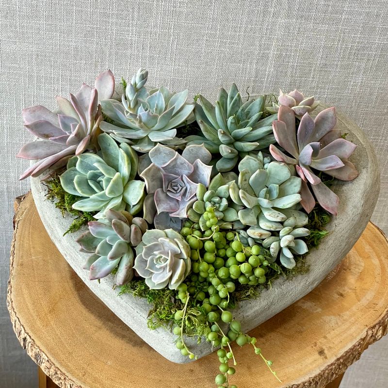 Heart Shaped Succulent Planter
