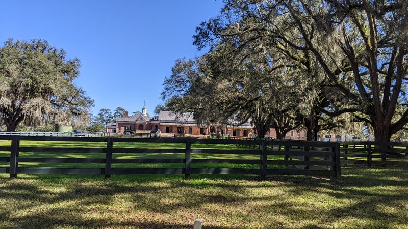 Pebble Hill Plantation Marked By A Grand Oak Drive