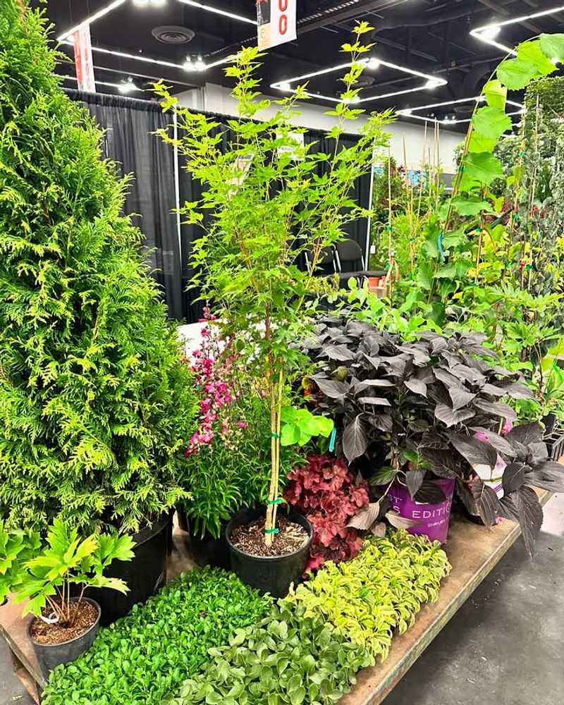 Gather Inspiration That Fits Oregon's Climate