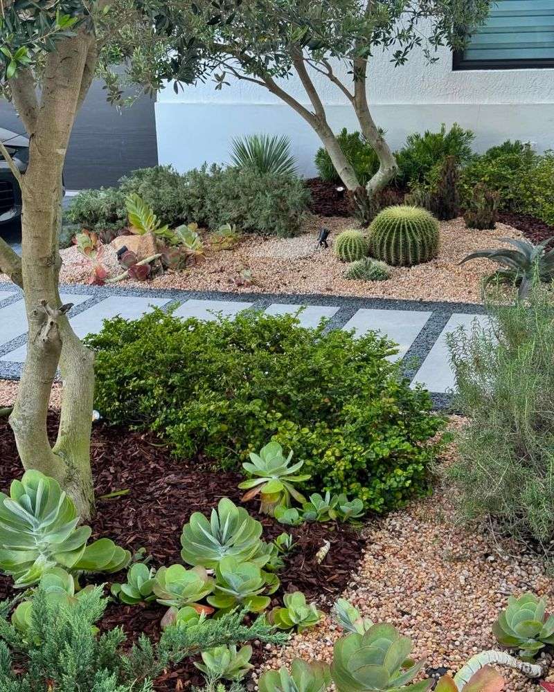 Mulch Keeps Roots Cool and Moist