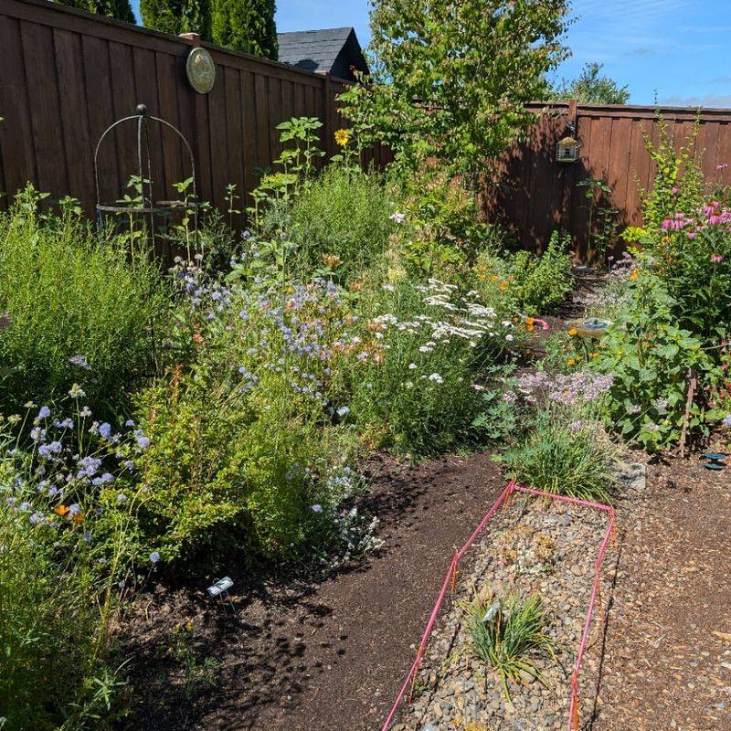 Native Plants Perform Better