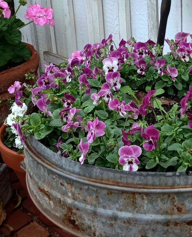 Add Statement Containers With Seasonal Color