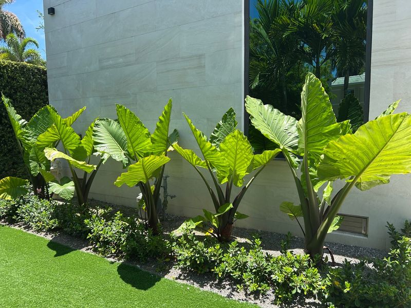 Use Mirrors And Reflective Foliage