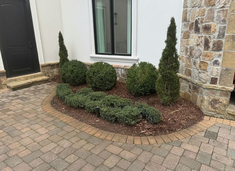 Frame The Entry With Low-Maintenance Shrubs