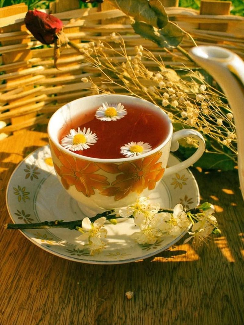 Chamomile Tea Reduces Rot While Roots Develop
