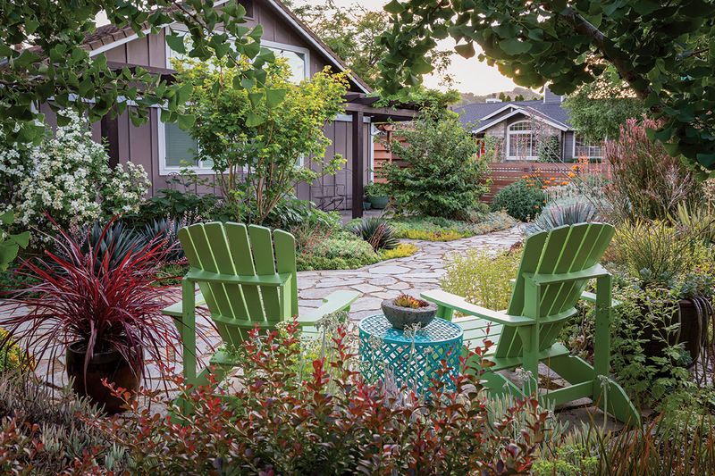Suburban Yards Make Perfect Nesting Zones