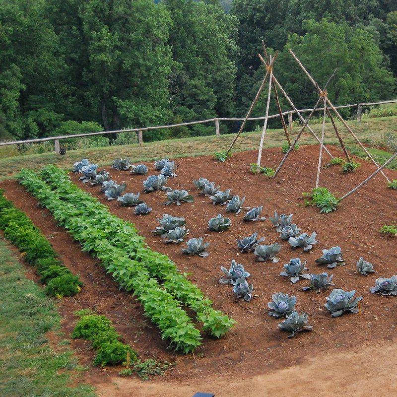 Test And Amend Soil If Needed