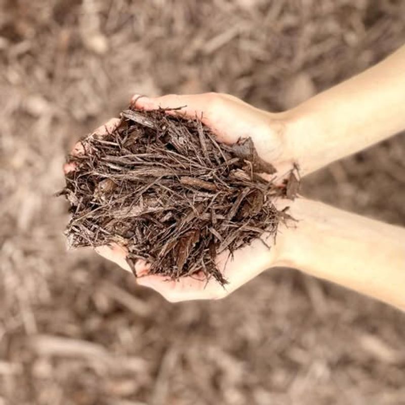 Apply Fresh Mulch After Soil Warms Slightly