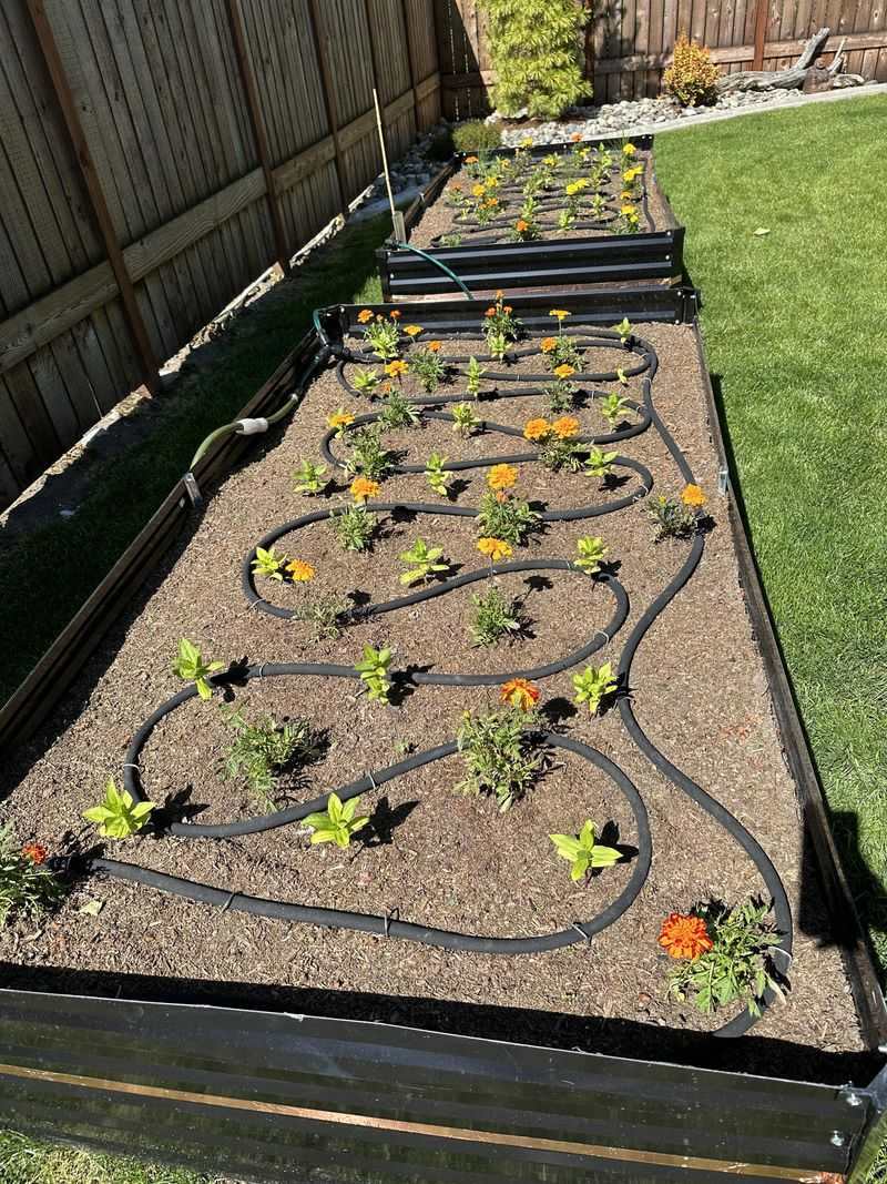 Mulch Before The Heat Hits