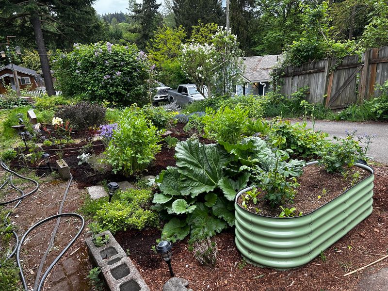 Plan Spring Planting