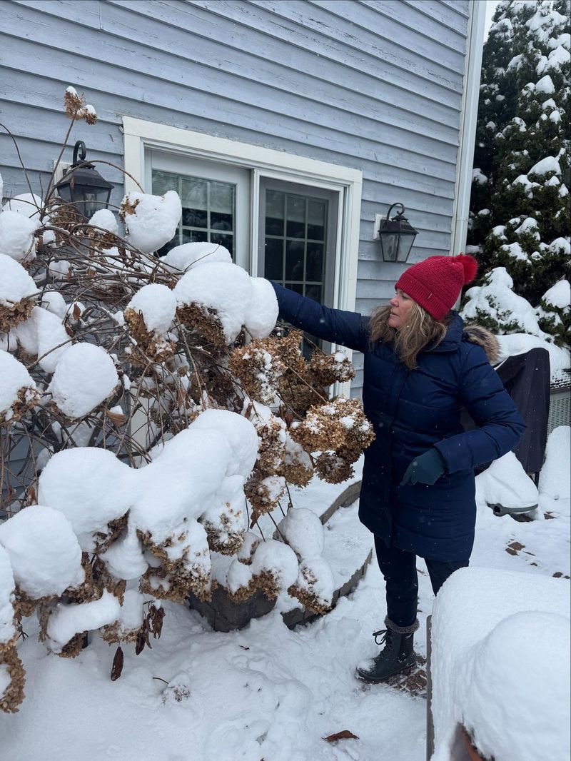 Check The Forecast For Actual Freezing Temperatures, Not Just Snow