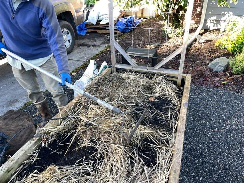 Clear Out Winter Debris