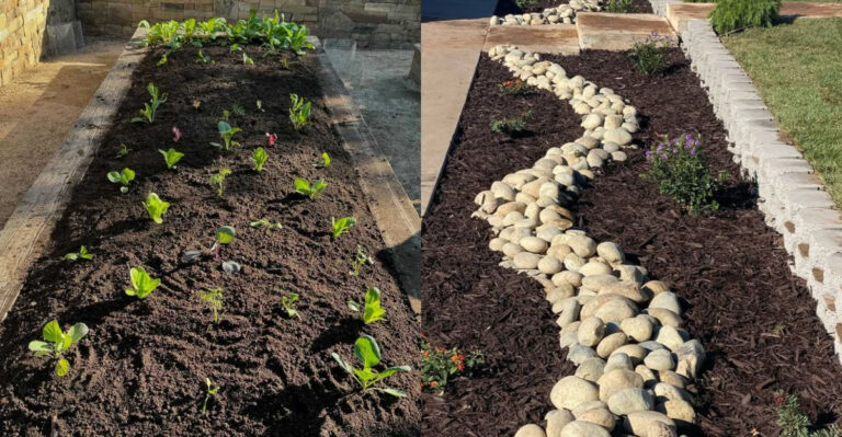 prepping soil in california