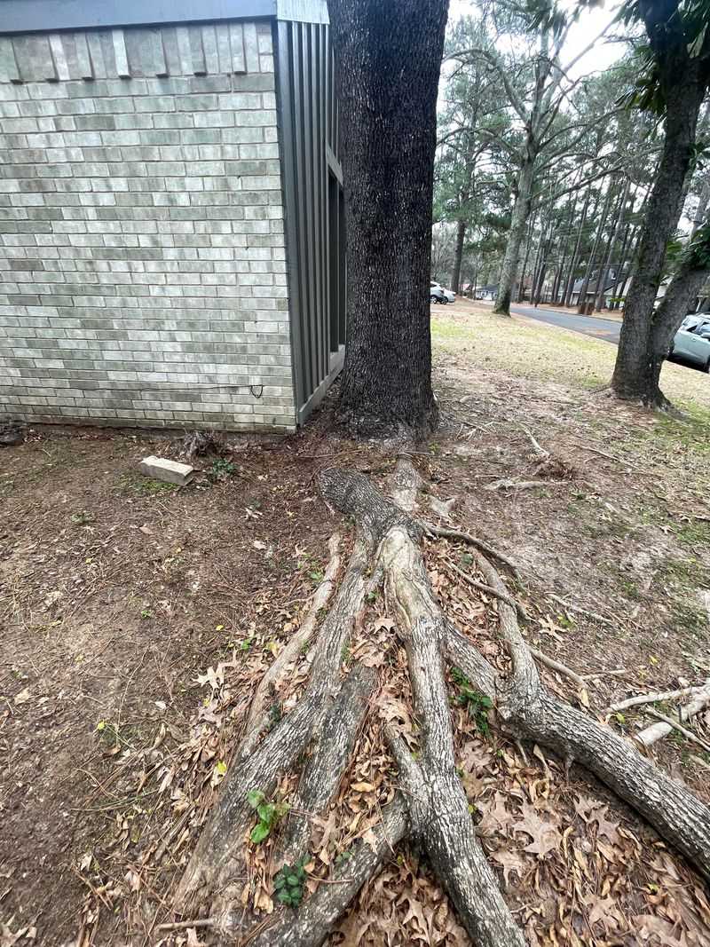 Notify Your Neighbor