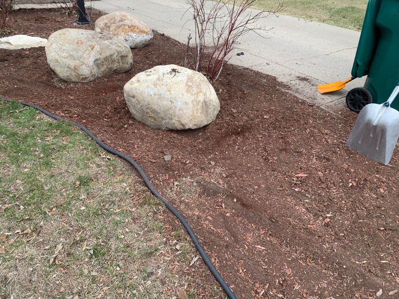 Don't Remove All Winter Mulch Too Soon