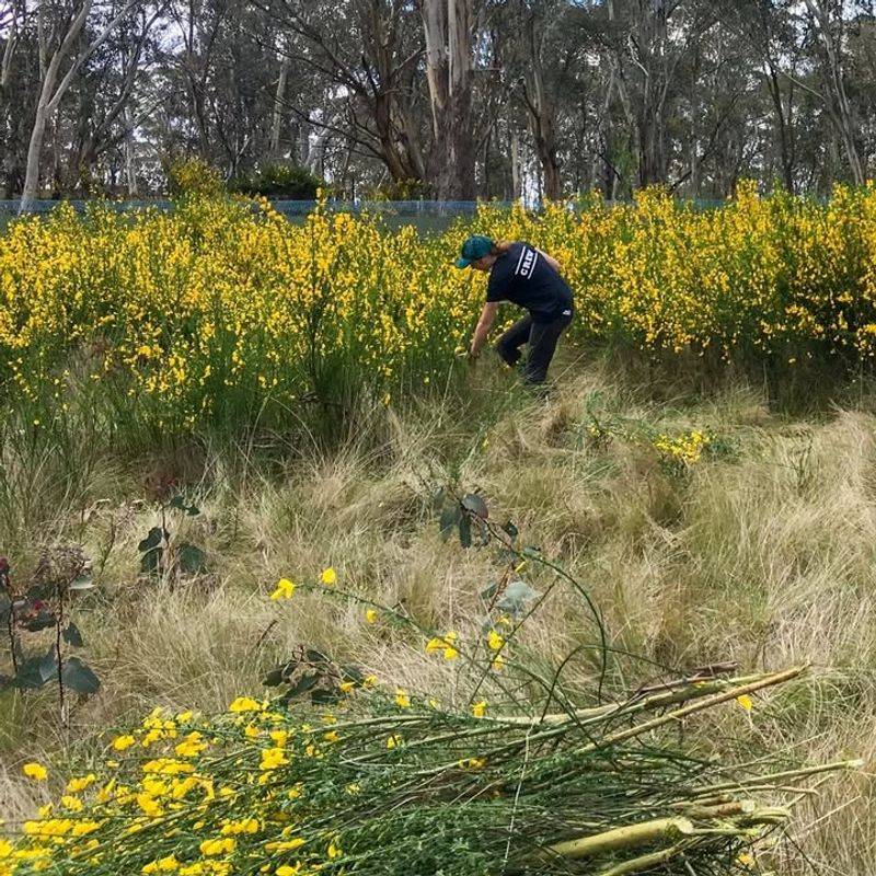 Safe Disposal Matters More Than You Think