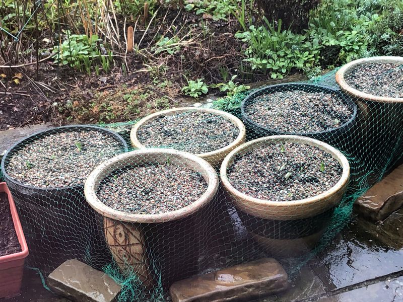 Don't Overwater Cold, Wet Soil