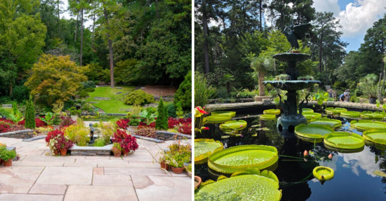 Don’t Miss This Stunning North Carolina Botanical Garden On Your Next Trip