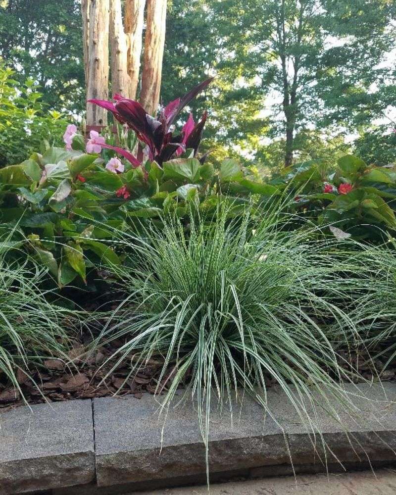 Weeds Love Bare Spaces