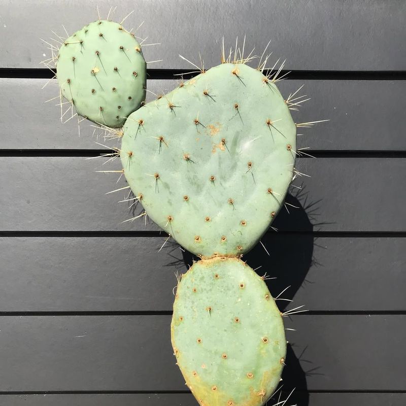 Strong Structure Holds Up In Wind And Heat