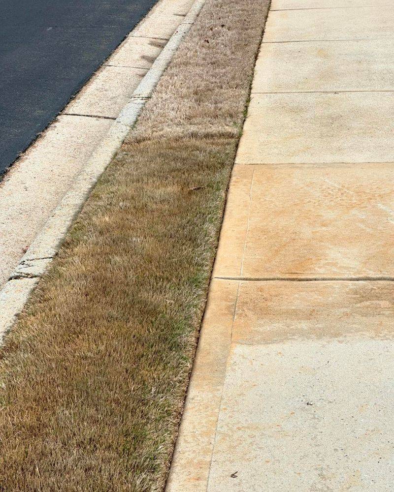 Dormant Lawns Respond Poorly To Extra Nitrogen