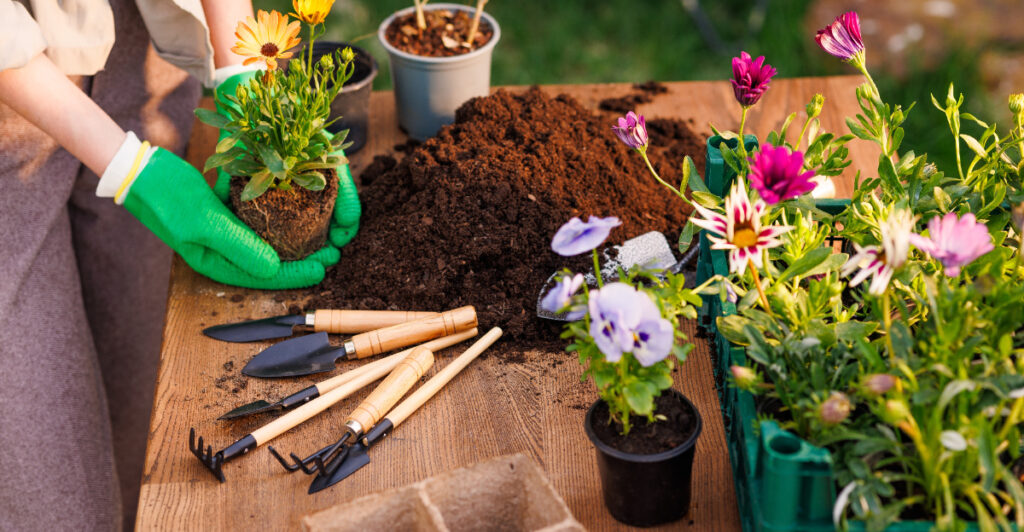 Spring Care Early Spring Gardening Tasks Michigan Gardeners Use To Wake Up Their ...