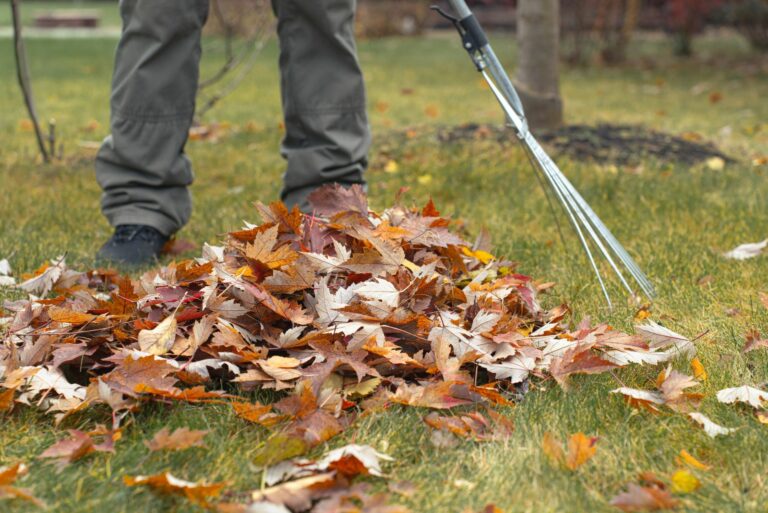 cleaning winter debris