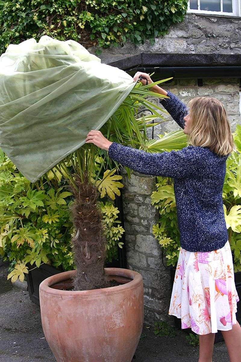 Gradually Remove Winter Plant Protection