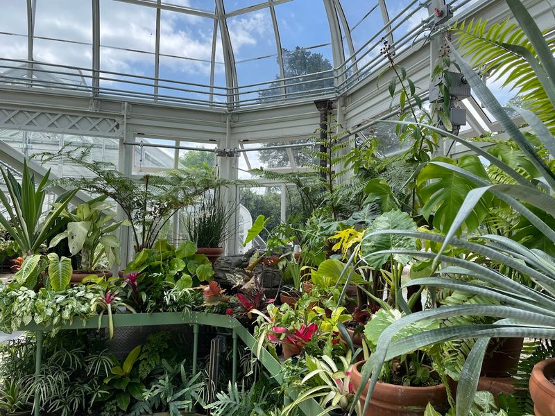 Greenhouse Conservatory With Diverse Plant Displays