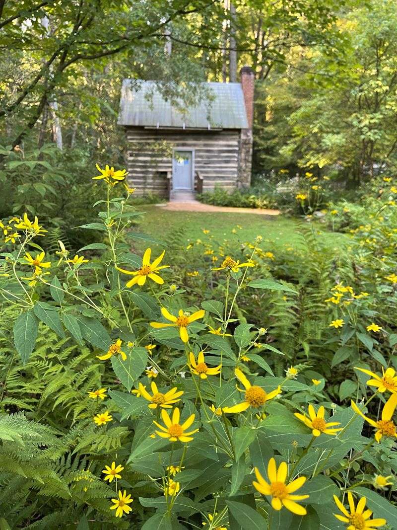 Seasonal Blooms And Changing Scenery