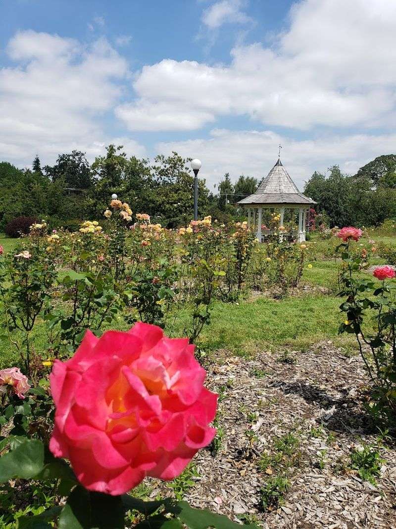 Bush's Pasture Park Rose Garden