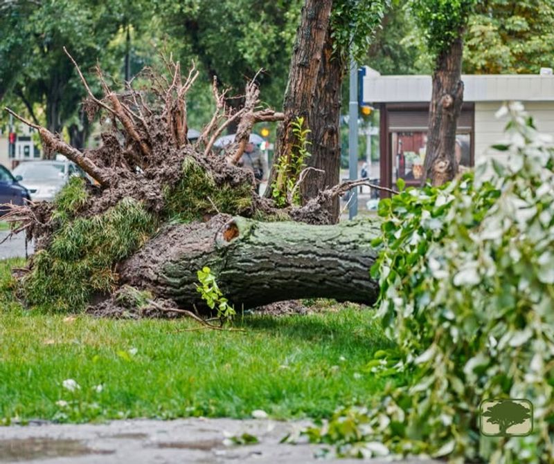 Reduce Risk During Storms