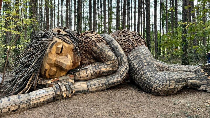 Combines Art Nature And Environmental Awareness