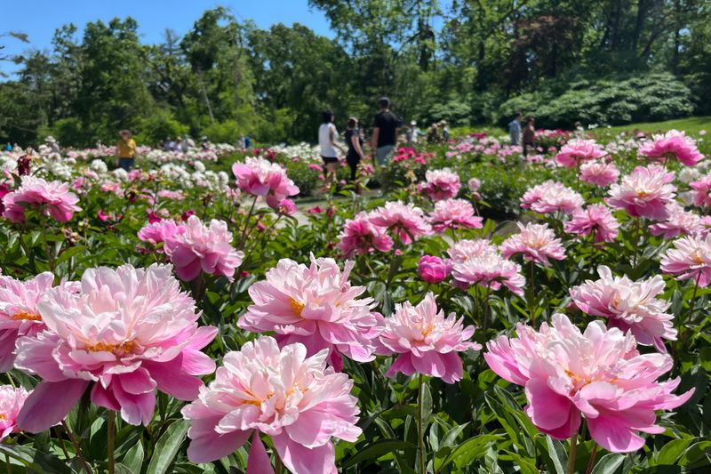 Experience Year-Round Beauty