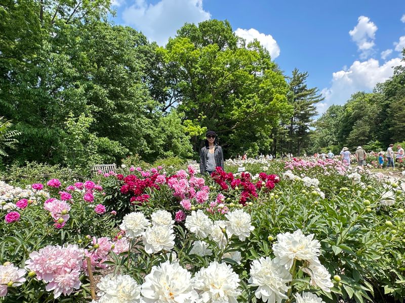Walk Through The Famous Peony Garden